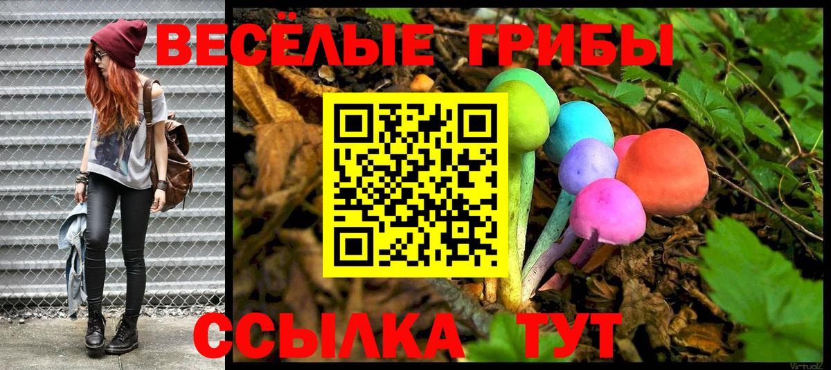 Псилоцибиновые грибы прущие грибы Коломна